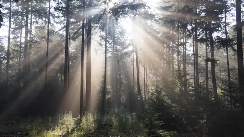 Gratis mindfulness training in Apeldoorn: 8-weekse MBSR cursus
