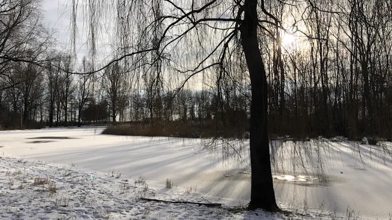 Gratis mindfulness training in Assen: 8-weekse MBSR cursus