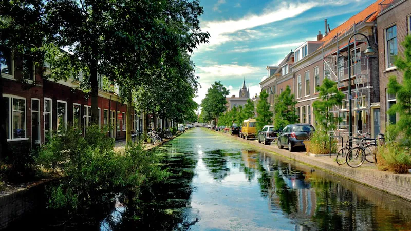 Gratis mindfulness training in Delft: 8-weekse MBSR cursus