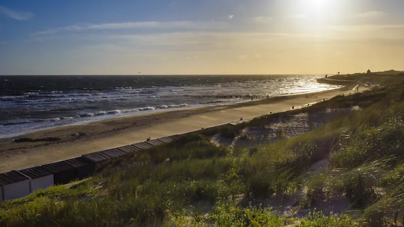 Gratis mindfulness training in Den Helder: 8-weekse MBSR cursus