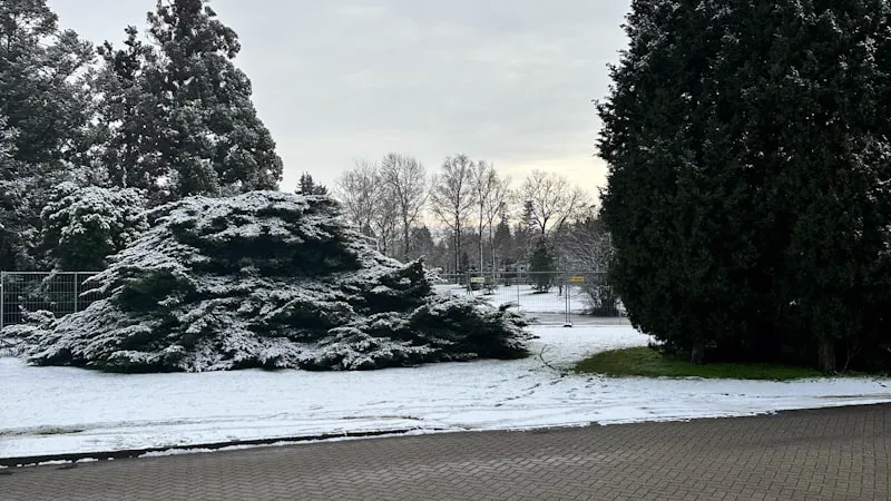 Gratis mindfulness training in Enschede: 8-weekse MBSR cursus