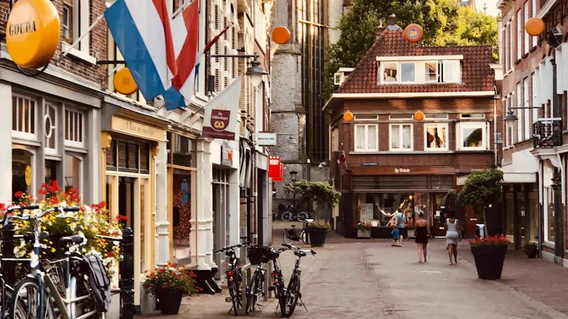Gratis mindfulness training in Gouda: 8-weekse MBSR cursus