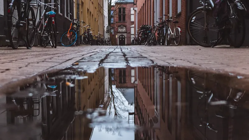 Gratis mindfulness training in Groningen: 8-weekse MBSR cursus