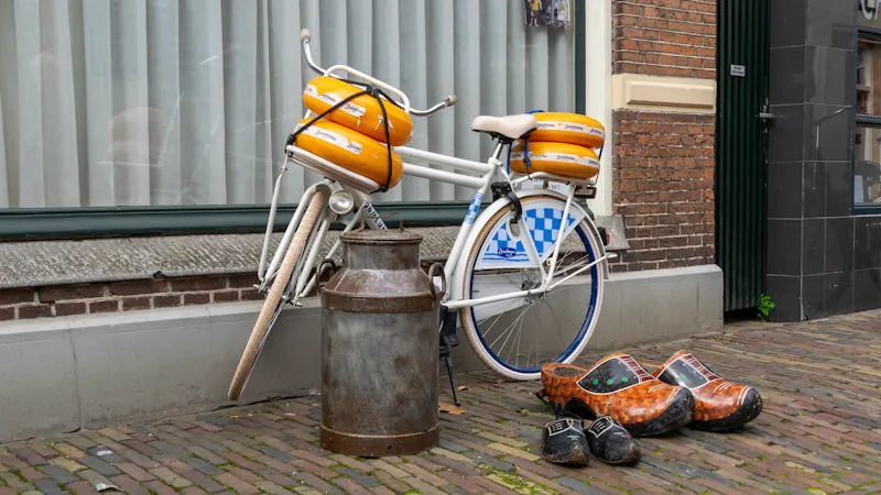 Gratis mindfulness training in Leeuwarden: 8-weekse MBSR cursus