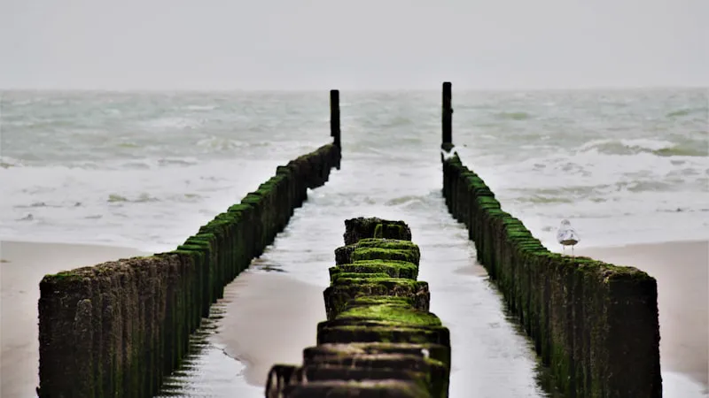 Gratis mindfulness training in Middelburg: 8-weekse MBSR cursus