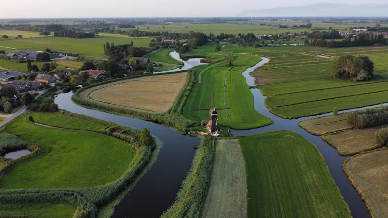 Gratis mindfulness training in Oss: 8-weekse MBSR cursus