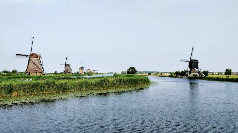 Gratis mindfulness training in Purmerend: 8-weekse MBSR cursus