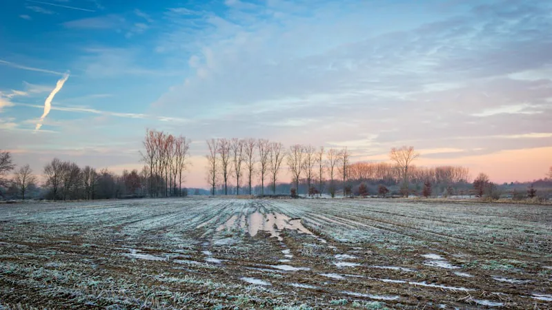 Gratis mindfulness training in Sittard: 8-weekse MBSR cursus